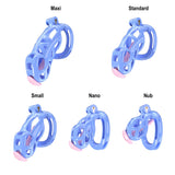 Blue Cobra Chastity Nub Kit With Belt And Urethral