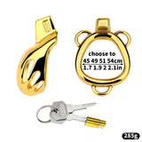 Golden Short Smooth Stainless Steel Cobra Chastity Cage