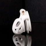 Python 6.0 New Upgrade Chastity Device Kit
