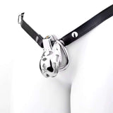 Stainless Steel Cobra Curve Chastity Device
