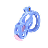 Blue Cobra Chastity Small Kit With Belt And Urethral