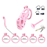 Pink Cobra Maxi Chastity Kit With Urethral