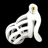 3D Stegosaurus Narrow Face Chastity Device Kit