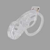 Ice Vision Clear Cobra Chastity Cage Type XL